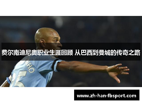 费尔南迪尼奥职业生涯回顾 从巴西到曼城的传奇之路