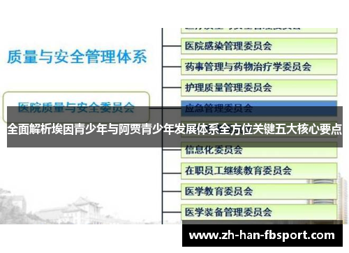 全面解析埃因青少年与阿贾青少年发展体系全方位关键五大核心要点