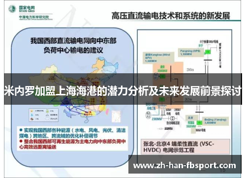 米内罗加盟上海海港的潜力分析及未来发展前景探讨
